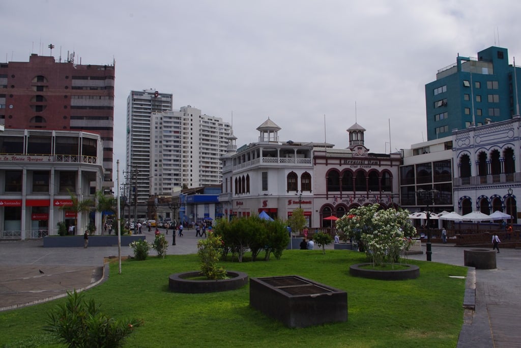IMGP5917