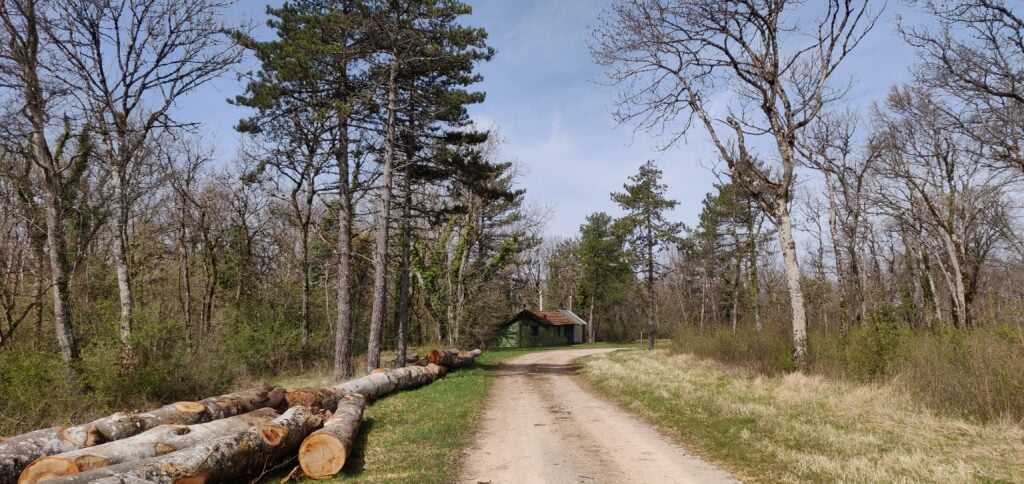 The path through the forest to Bois de Pierre Saux