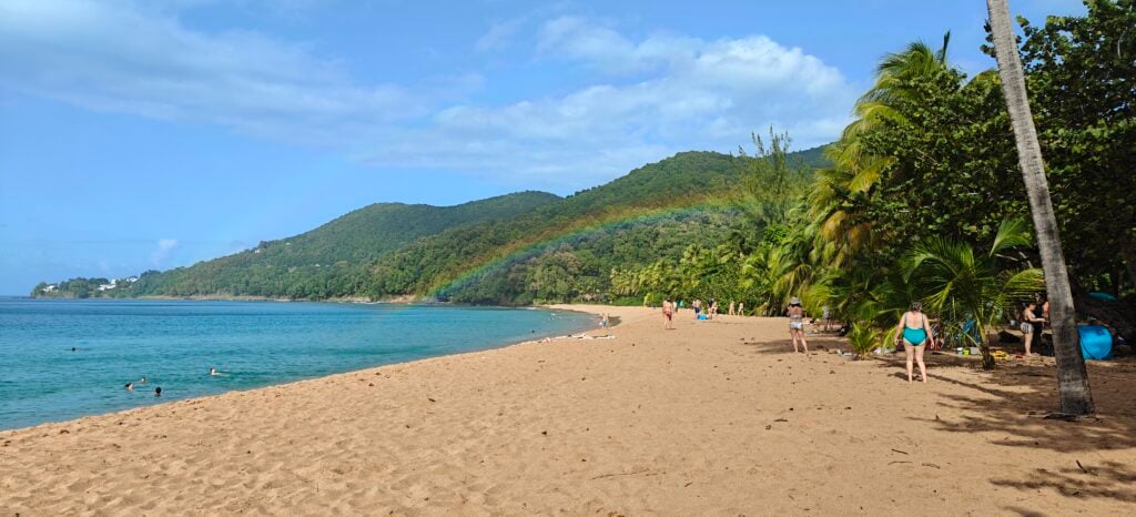 Large sandy beach, with palm trees and a rainbow, and forested hills in the background