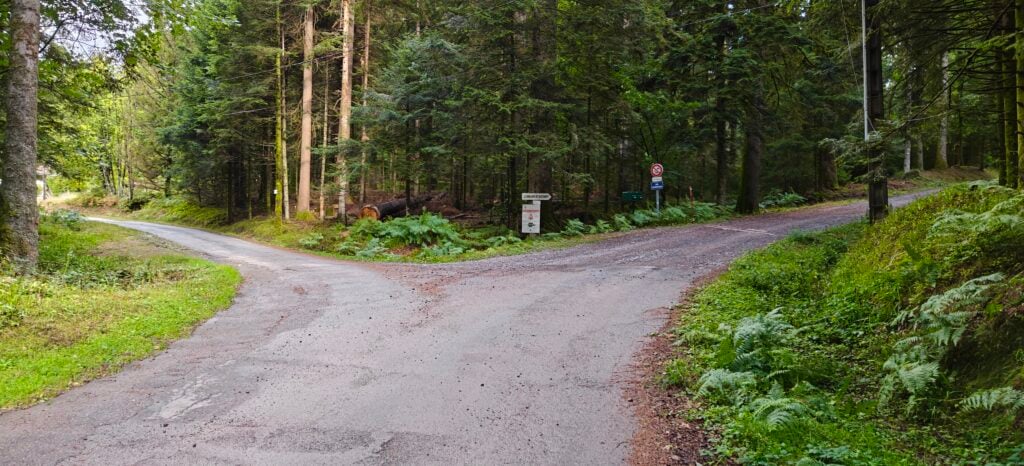 Two tarmaced roads split just ahead