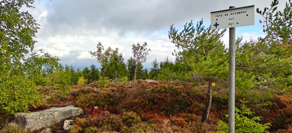 Heather on a hilltop with a few rocks. A sign on a metal post contains the name of the hill and altitude.
