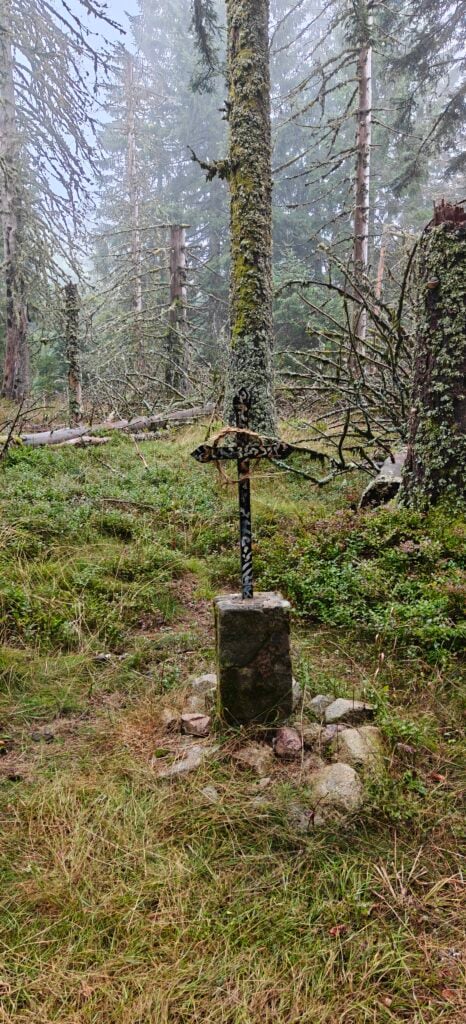 Small iron cross on a concrete base surrounded by forest undergrowth.