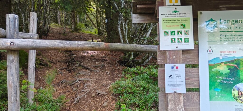 A wooden bar across a forest path. Warning signs give a list of rules including a notice about surveillance. 