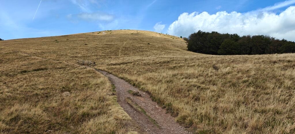 A grassy hill rises in front of a well-trodden path. A faint path heads directly up the hill but there is a wooden fence at the bottom. 