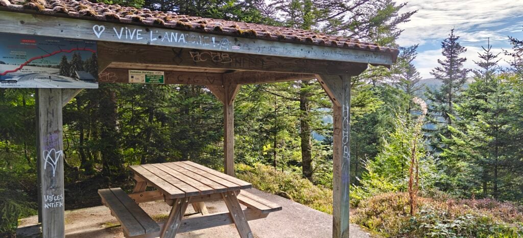 A wooden shelter in the forest with tiled roof and a map. A picknic bench is under cover. 