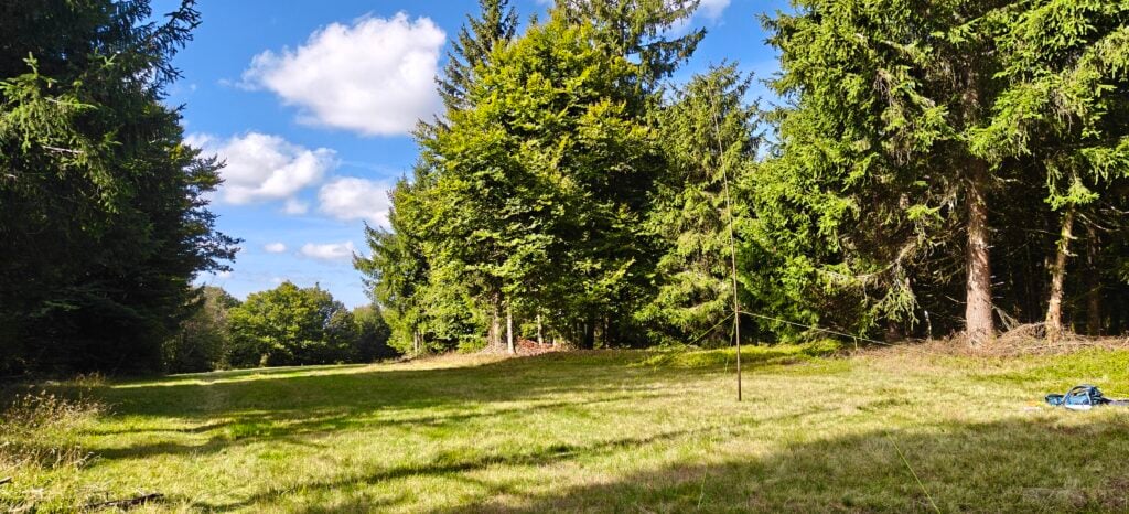 A grassy field surrounded by trees. My radio aerial is in the middle of it. 